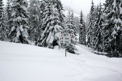 Alta Val Badia (146), Sci Alpino (290)